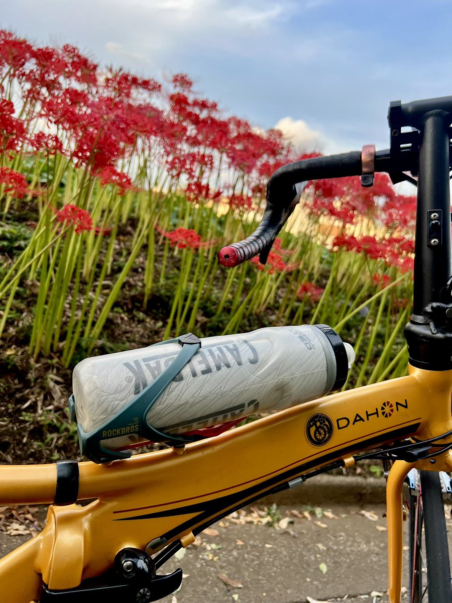 勇我 _勇我 (@yuuga5ive) / Posts / X