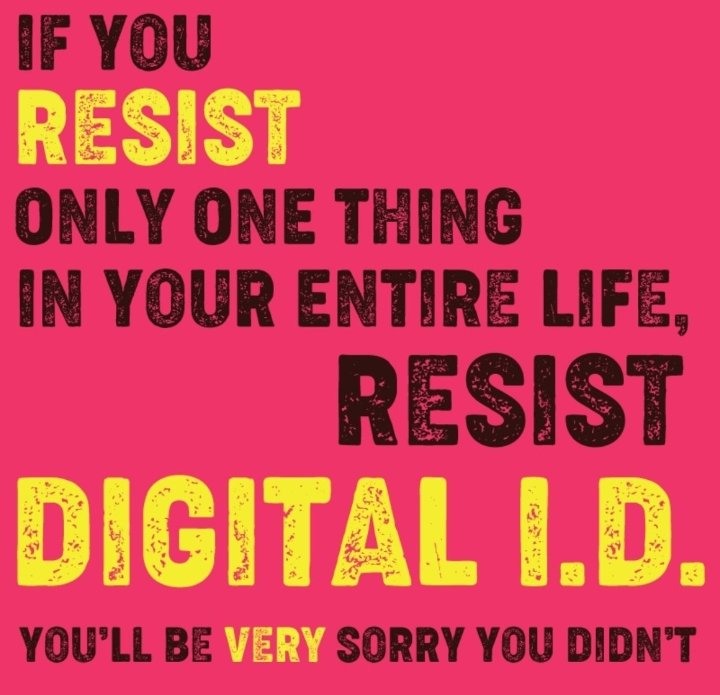 🇿🇦Olivia La Grange🇿🇦 tweet media