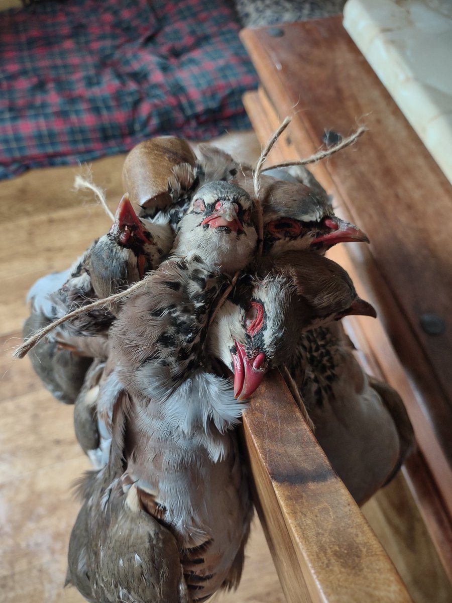 The Trout tweet media