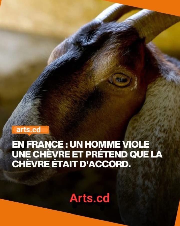 En France 🇫🇷
Un homme viol une chèvre prétendant que la chèvre 🐐 était d'accord 😂