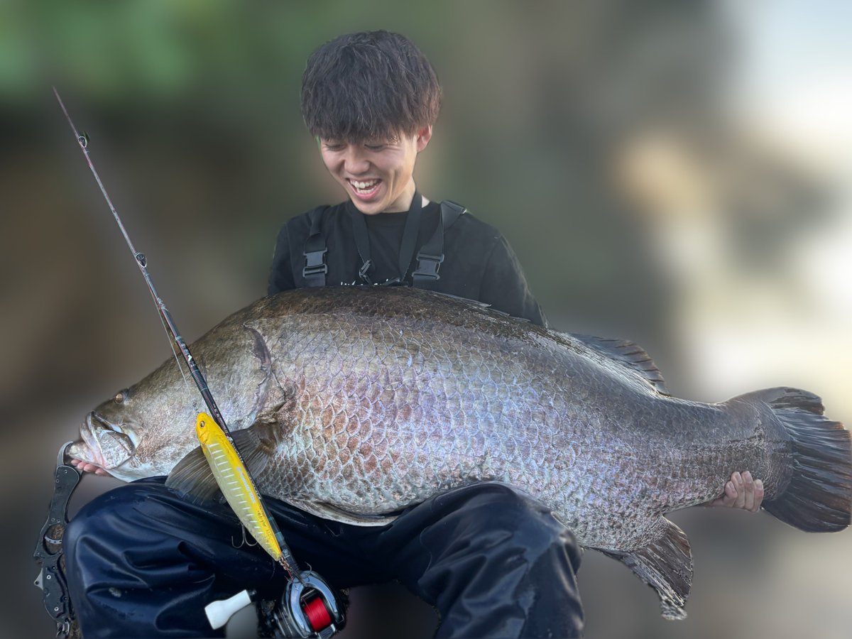 hiro 𓆝 tweet media