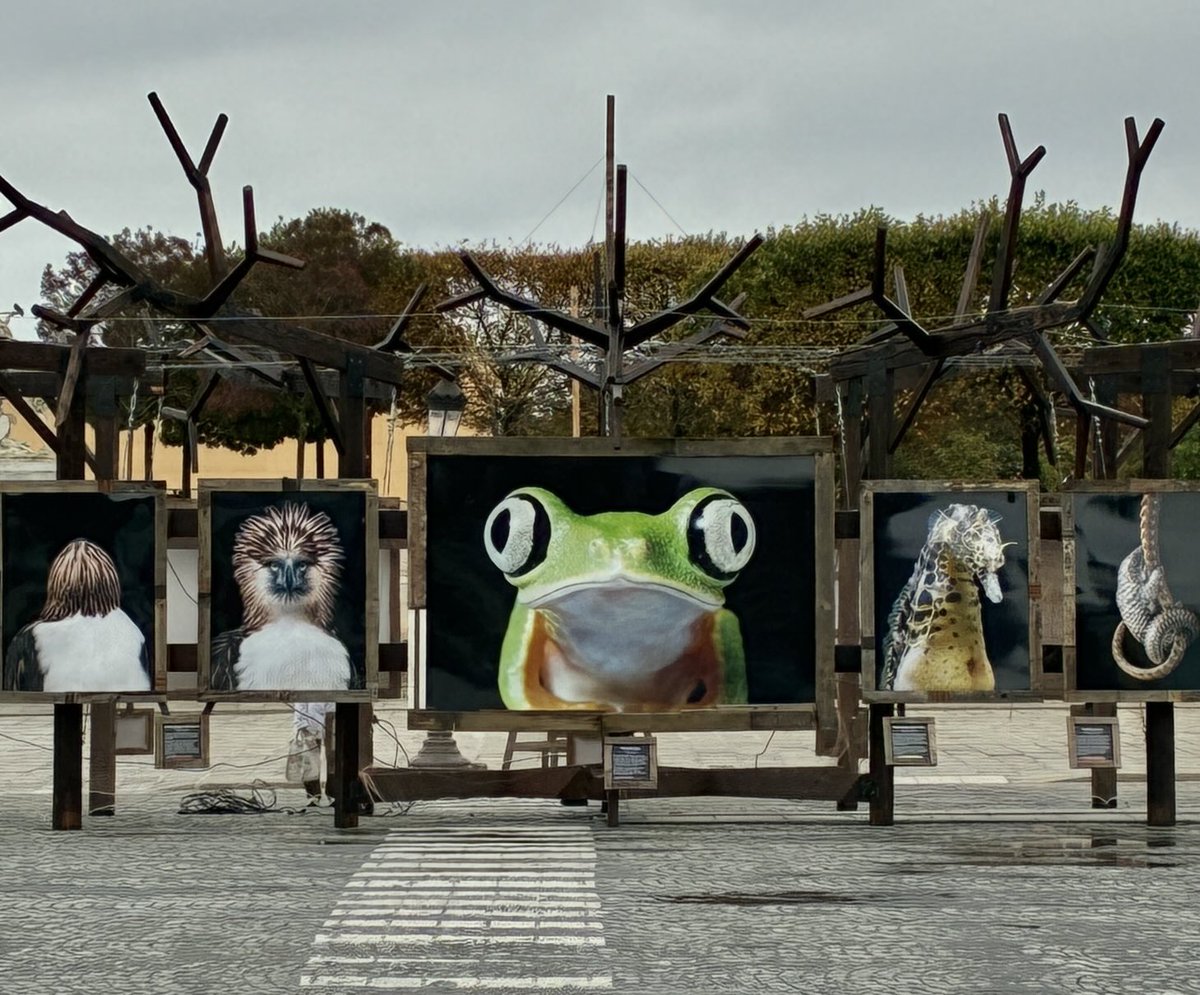 Miss 🐈 Thackstone tweet media