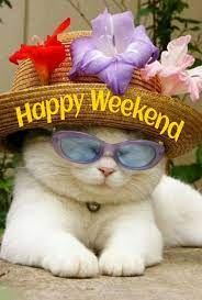 marillion13's tweet photo. https://t.co/SlaUFModmr
People may call me impolite because I decided not to post a weekday greeting comment first anymore, this because people´d always liked THAT post WITHOUT photos instead of the post WITH PHOTOS that followed it. Made no sense to me.
#HappyFunday https://t.co/bLhoTfm6cE