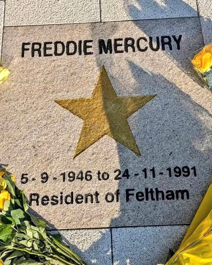 ✨ #FreddieMercury