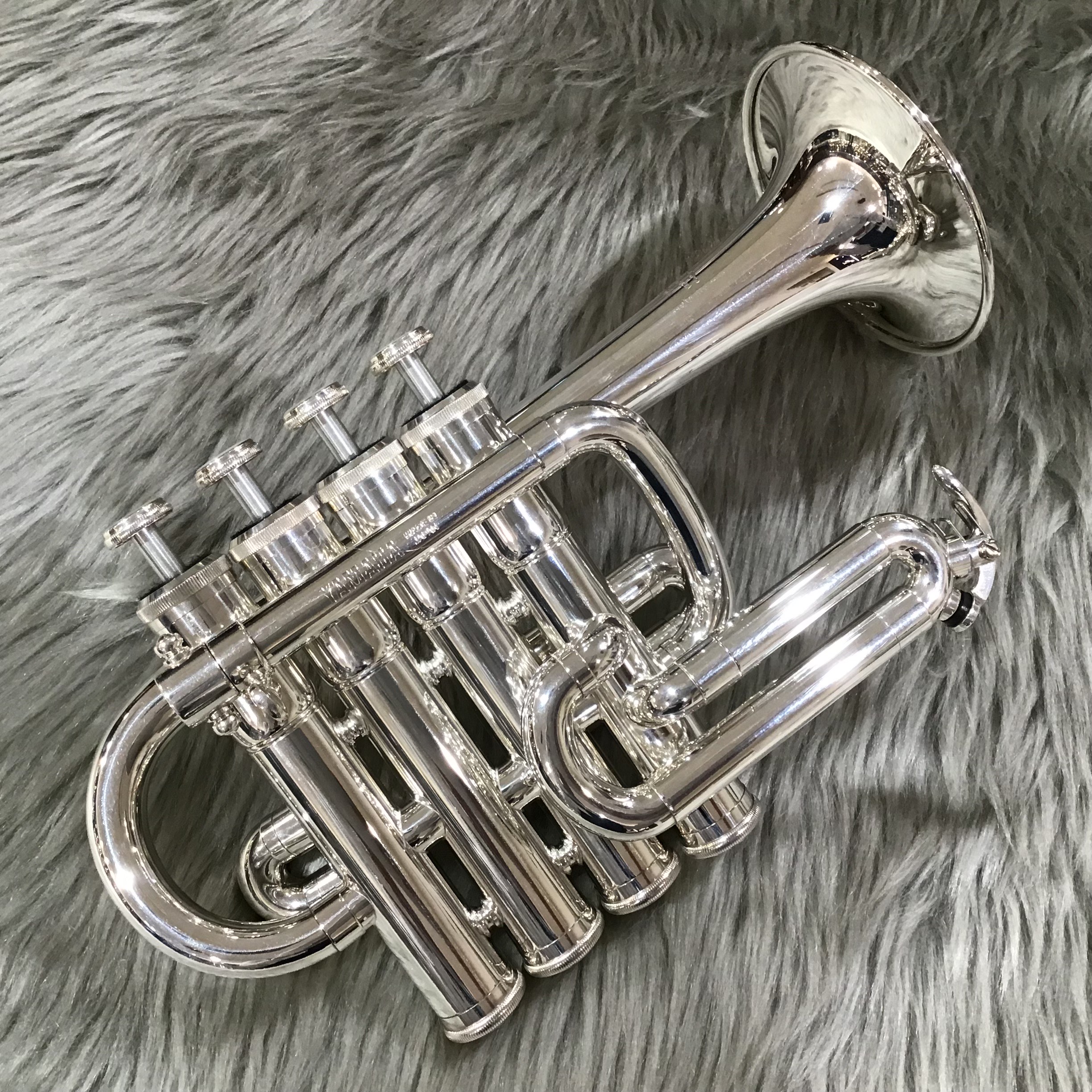 タイガー　ピッコロトランペット中古 2025年最新】tiger トランペットの人気アイテム - メルカリ