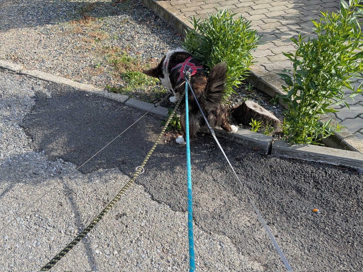 Čím víc vodítek, tím víc procházka! 🙈🤷