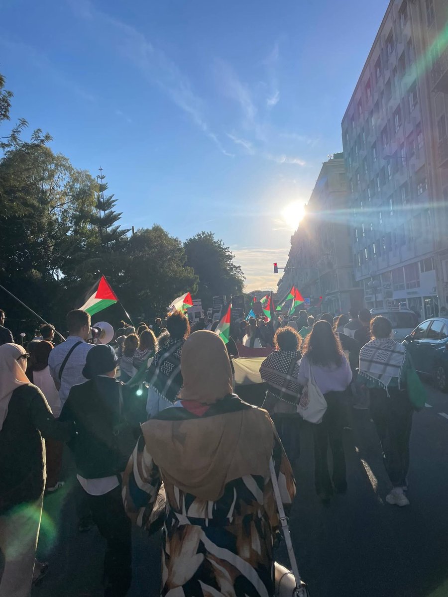 Mireille Damiano tweet media