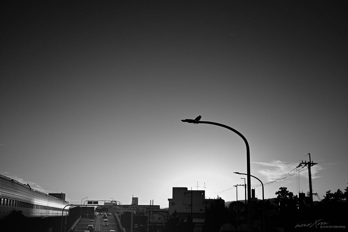 monochrome Days

The sun rises once more
信じた道の彼方に