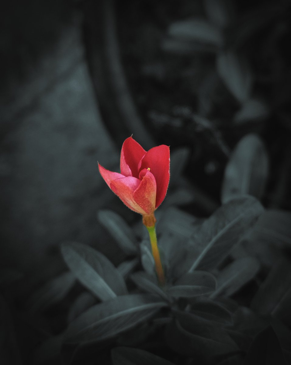 hanspal1818's tweet image. Good Eve..