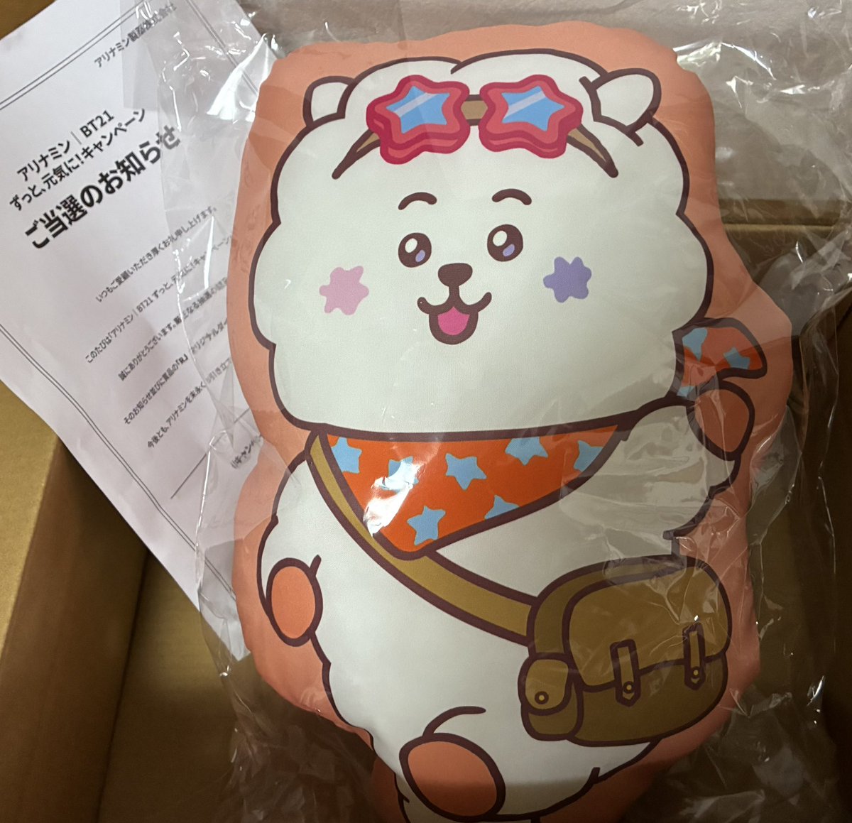 akori_jin's tweet image. アリナミンのキャンペーンに当選して
RJが我が家に🩷
とっても可愛い🥰
ありがとうございました😊
#アリナミン
