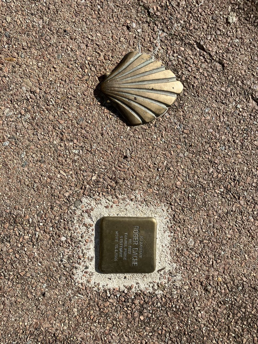 In de ochtendmist vertrokken we voor onze 37ste etappe naar #Santiago. Gadegeslagen door koeien liepen we in de zon over het platteland van Bazoches naar Corbigny.