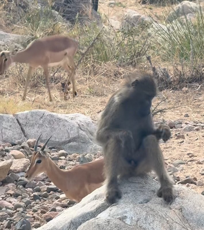 Huyu X buddy anakaa kama nani?😂😂