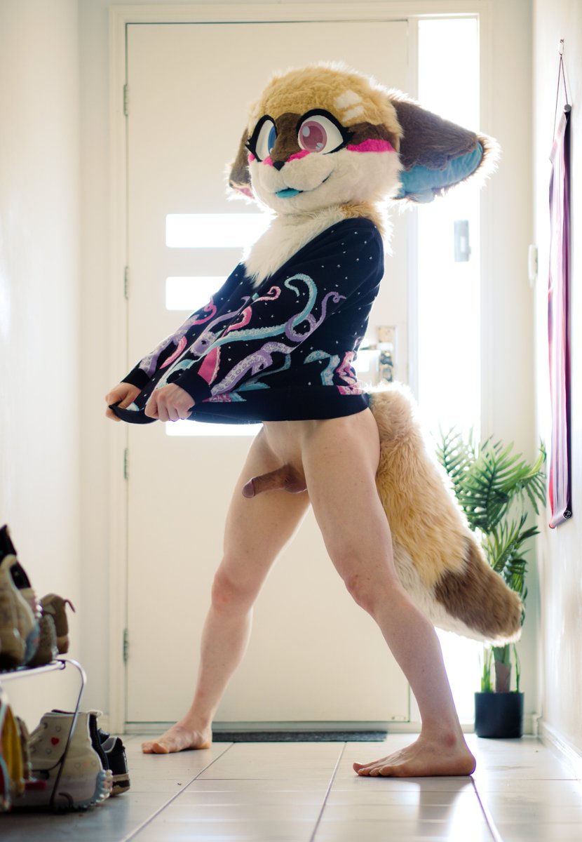 n🔞bleo 🐾 Furdu tweet media