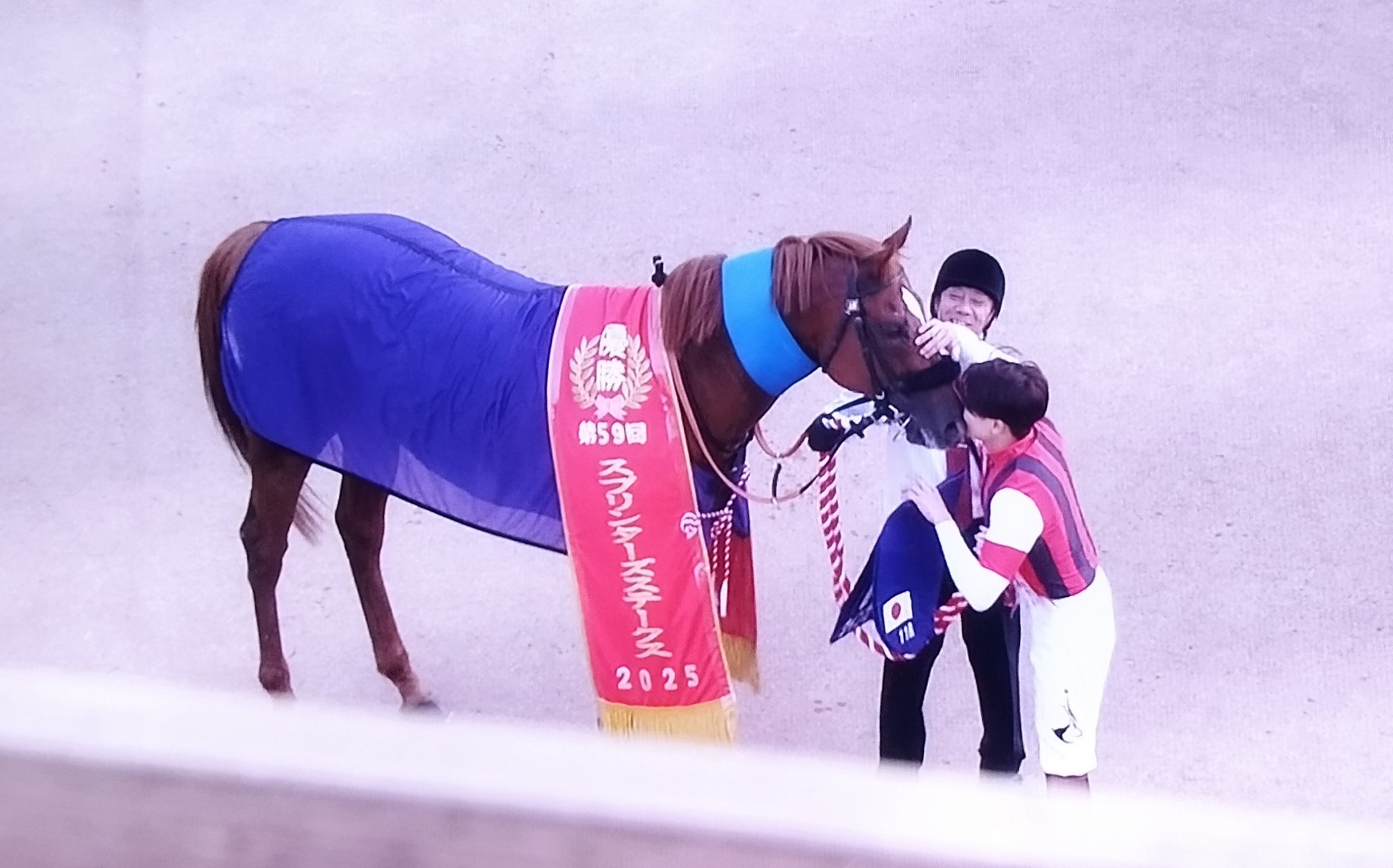 馬刺しページ 父の日特集 – TAGモール