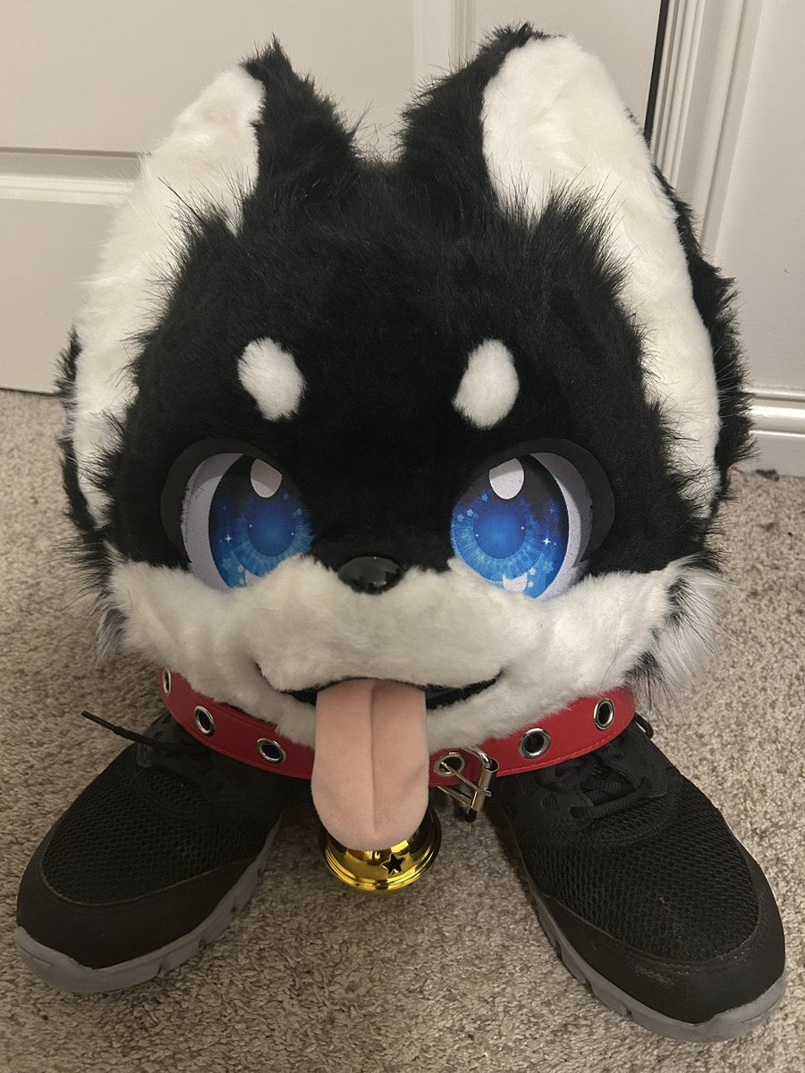 this thing won’t leave me alone #Kit #Brawlstars #EvxWorldChampion