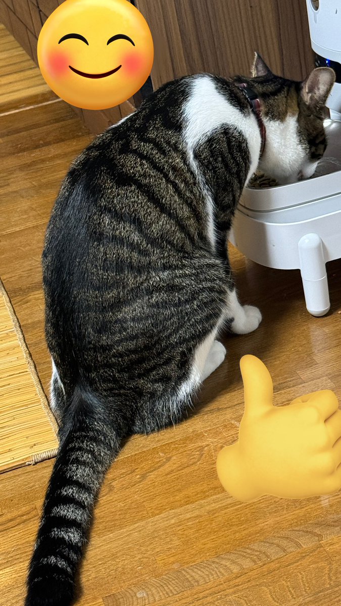 こてつ - Search / X