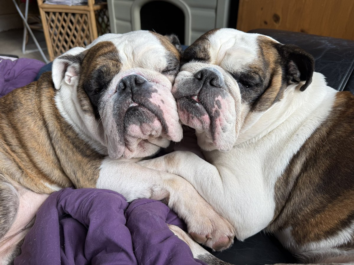 Margo and Sherman two peas in a pod