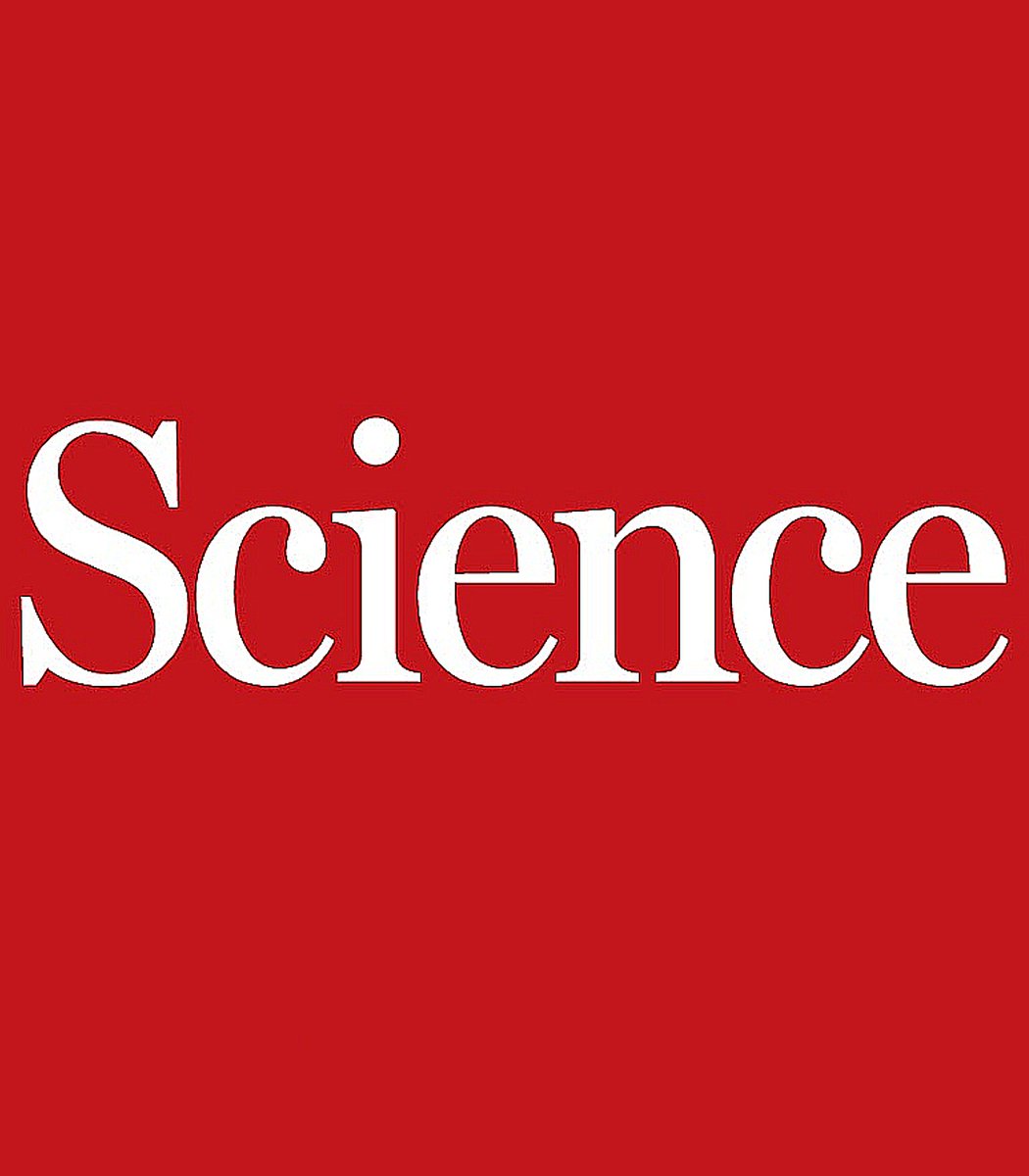 A human skull estimated to be 1 million years old could rewrite human evolution, according to scientists

The fossil, originally found in 1990 and digitally recreated, was originally believed to be Homo erectus