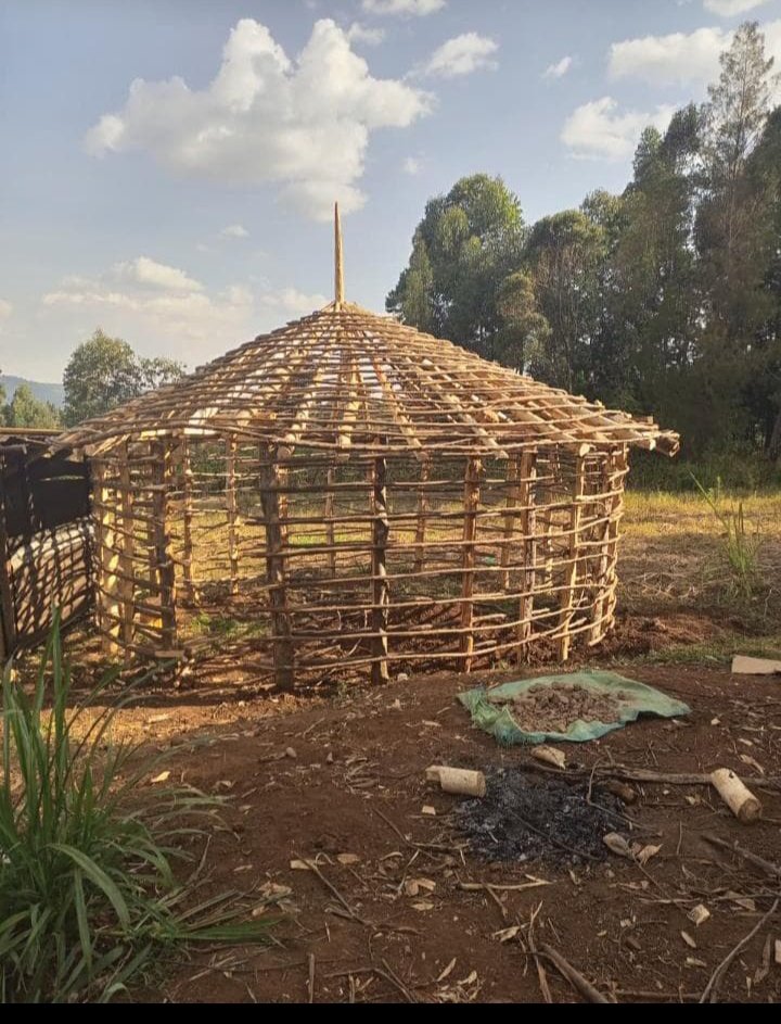 Koturon pireminik Wei nia, oteksei mbaa Sana