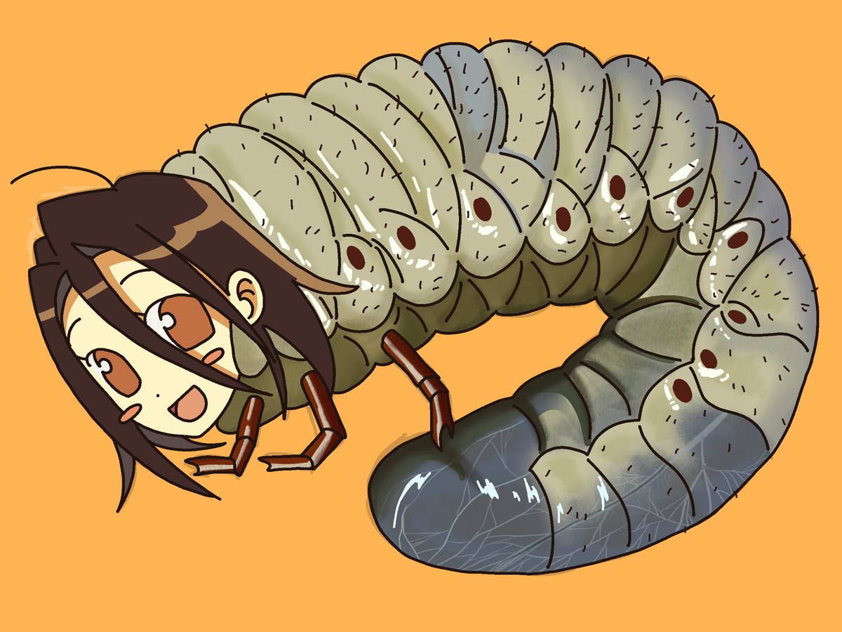 구세 (@hardbond_boiled) on Twitter photo 