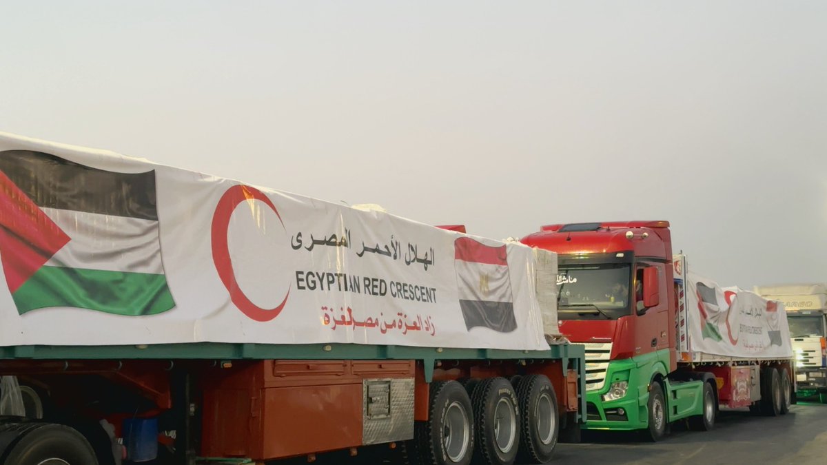الهلال الأحمر المصري tweet media