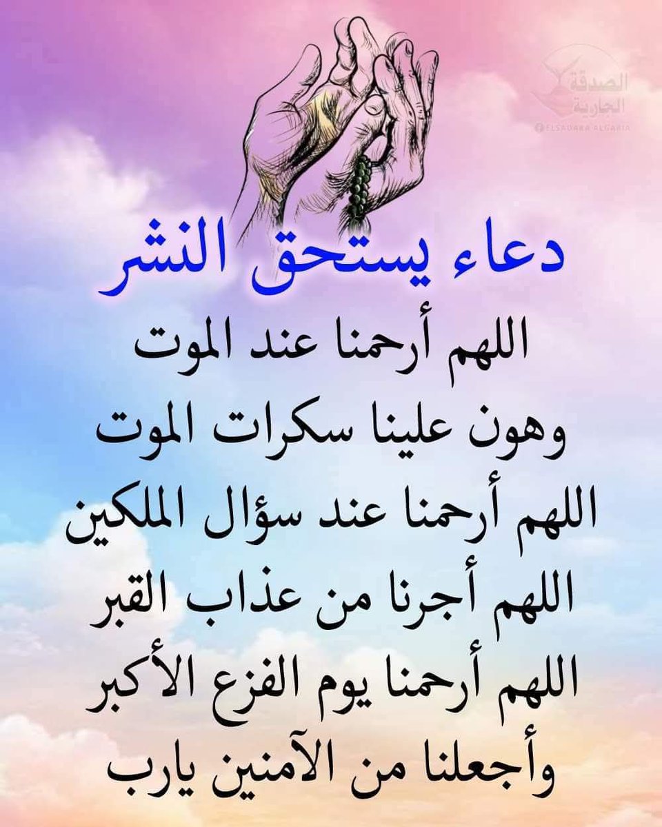 Amira Youssef (@amirayouss13682) on Twitter photo 