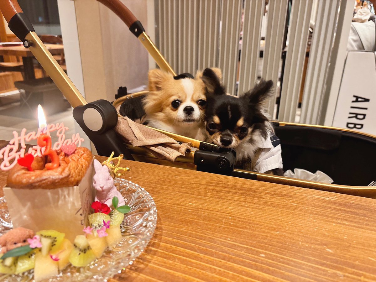 minion150711's tweet photo. https://t.co/DFxNpBvrWs https://t.co/ItUktRDLNU