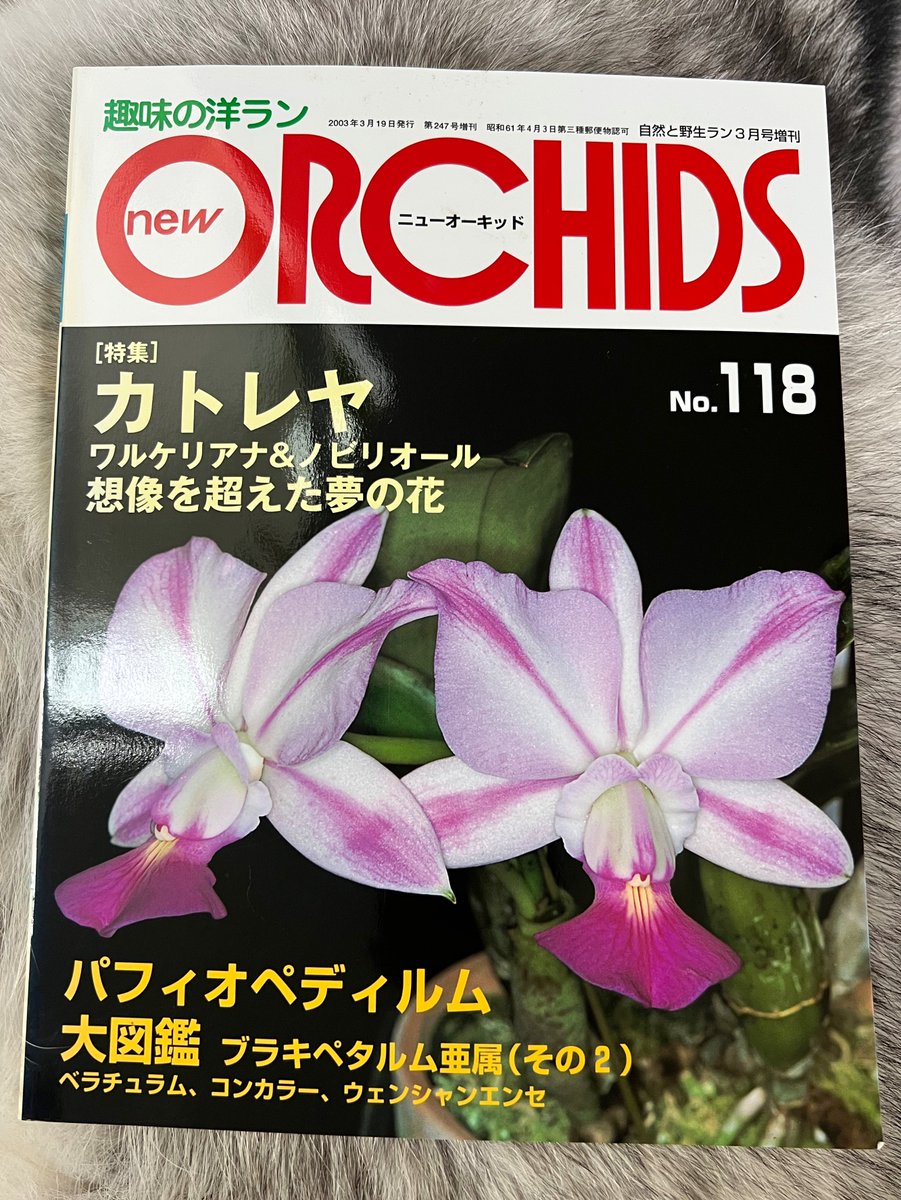 今回の大発見！ヤハギ園には『NEW ORCHIDS』などの洋ラン関連の書籍の長期在庫品が眠っていました✨ご興味のある方は是非漁ってみてください♪中の人はワルケの号を買いました。

#ヤハギ園 #洋ラン #カトレア #洋蘭 #植物
