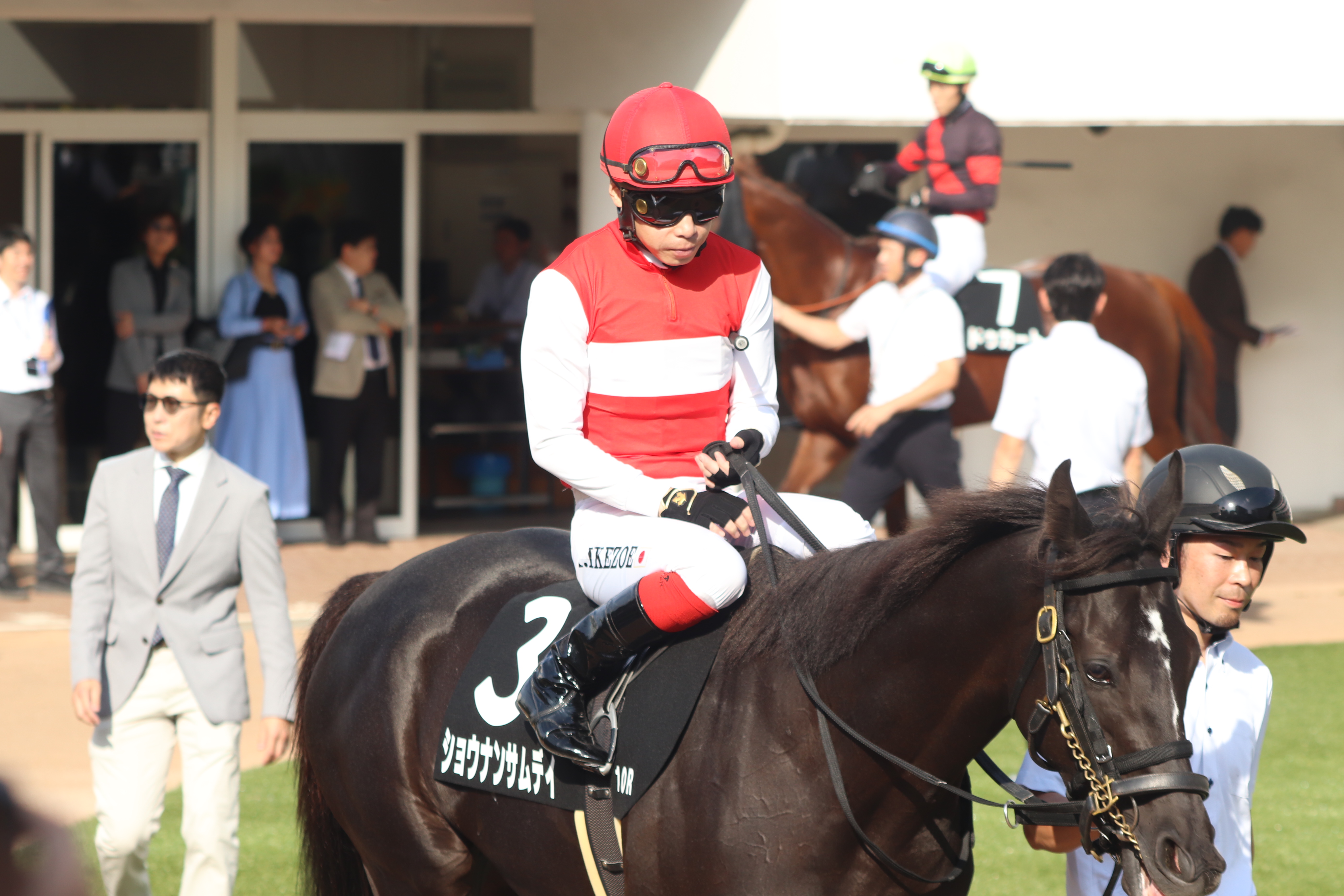 ショウナンパンドラ　現地的中単勝馬券 ショウナンパンドラ 現地的中単勝馬券 - メルカリ