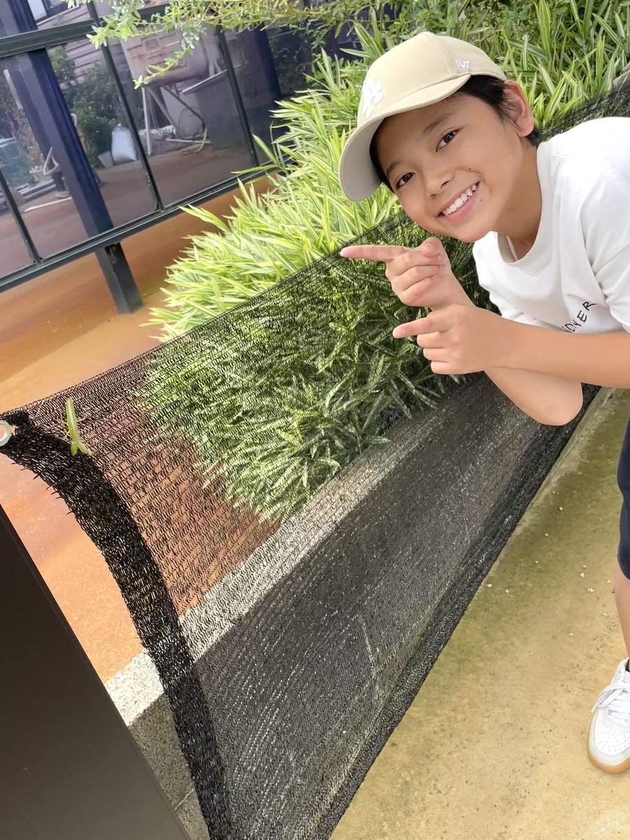 towa_12_11's tweet image. 知らない地域を探索してたら
#カマキリ に遭遇し、
#公園 発見で #ボルダリング して‼︎
#ペットショップ 見つけて
かわいいわんちゃん・ねこちゃんに癒され😍
カマキリとのこの距離感。。。🤣
ボルダリング苦手な感じ🤣🤣
#渡邉斗翔
#散歩
#知らない土地
#癒し
#帰りたくなくなる
#他はインスタで