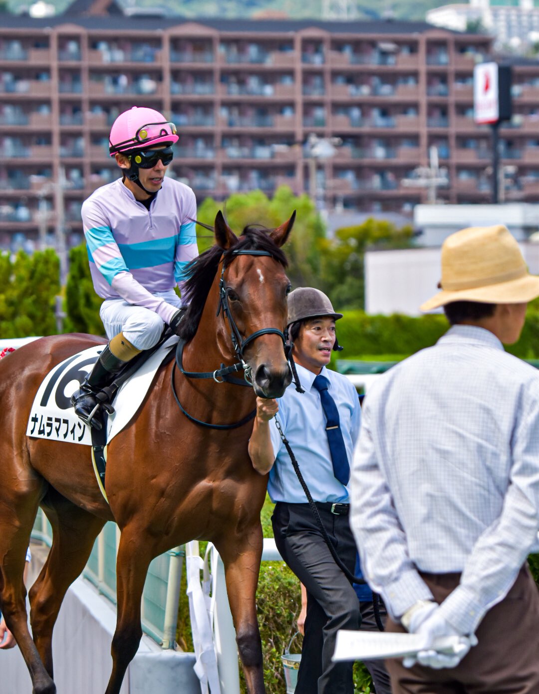 驚異の指標　 競馬を狙い撃つブロック方式 アタック！地方競馬｜第318回｜かしわ記念 大展望！｜NAR公式