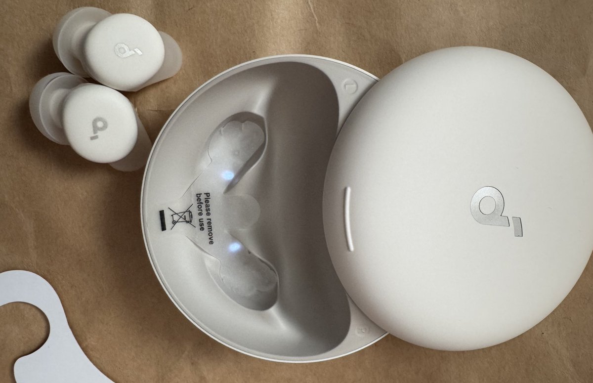 最近眠りが浅くて雑音で睡眠途中で目覚めるのででSoundcore Sleep A30を買ってみた、音質は所有してる他のイヤホンよりも劣るけど耳が痛くなりにくいのが良い、交換があるかどうかはこれからモニタリング