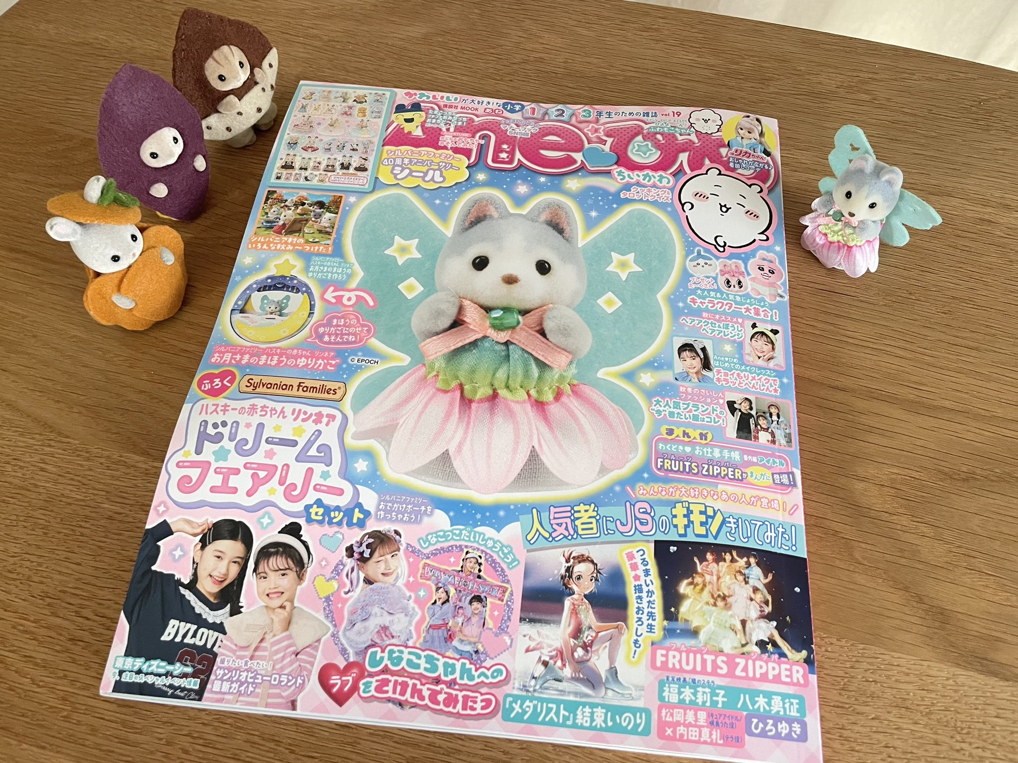 シルバニアファミリーフローラウサギの赤ちゃん Aneひめvol.17 一冊 付録付き 新品未, image size:2048x1536