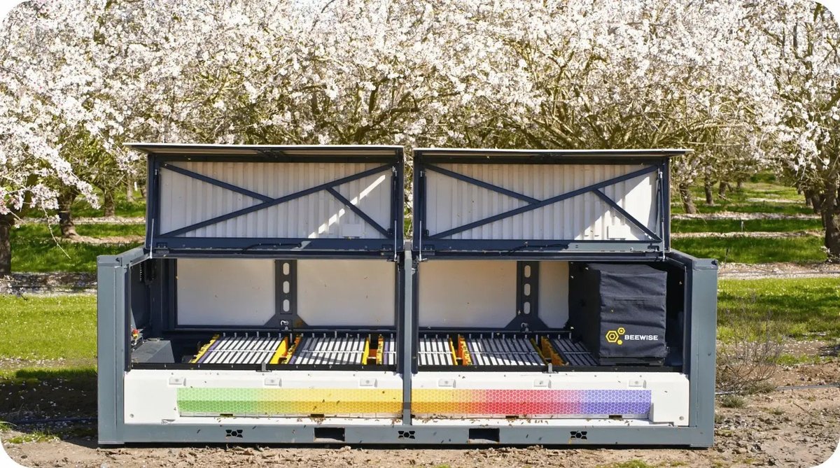 国際会計の実像 国際会計の実像 -会計基準のコンバージェンスとIFRSsアド