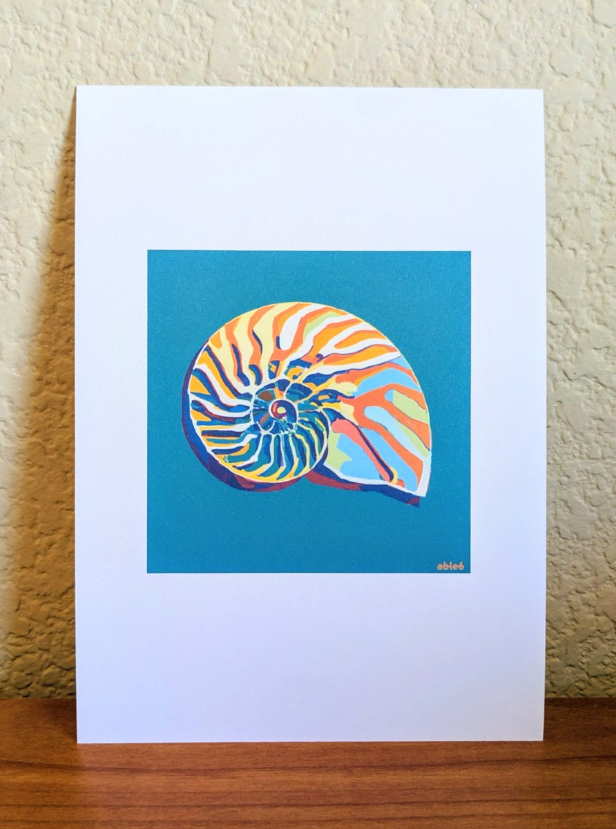 Nautilus art print for a beach house