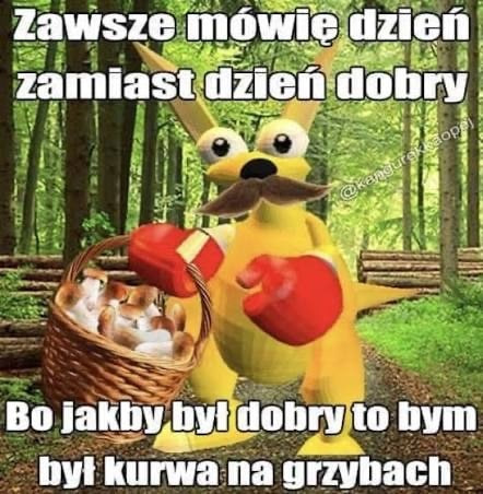 donald_PL_'s tweet photo. Polacy w tym tygodniu be like: https://t.co/xlbIlJzcbd