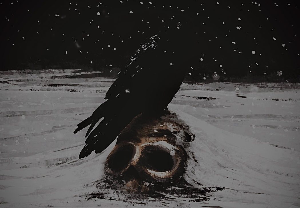 𝓈𝐡𝐢𝐬𝐮𝐢 ͏ ͏ ͏/ ͏ ͏ ͏𝙲͟𝚁͟𝙾͟𝚆͏ ͏𝘳𝘦𝘪𝘨𝙣. tweet media