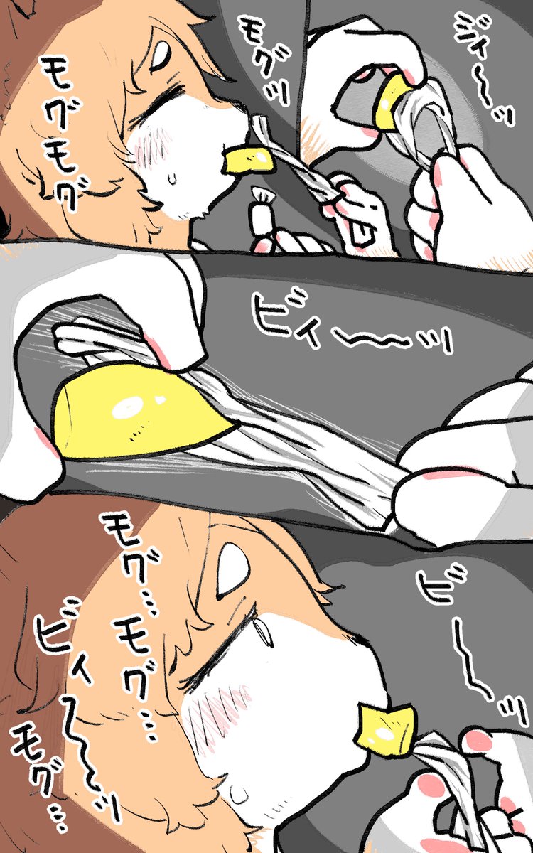 夜中にプロセスチーズを食べるにくしばちゃん🐶🧀 