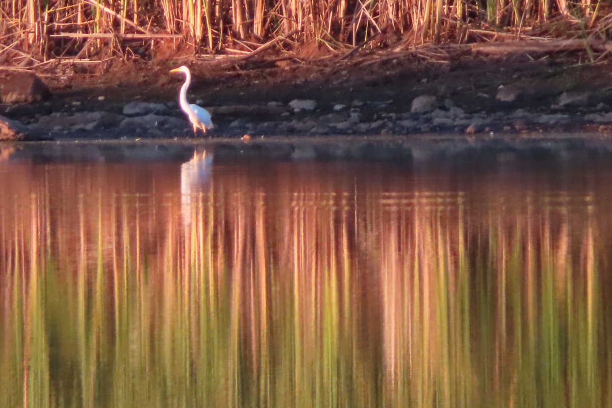 because, only ✨

because, only you
but sometimes, I think
sometimes you come as a taste of almonds
toasted wrapped in paper

sometimes your presence is so loud
I cant' hear myself
sometimes I wish I could disappear

because, only you
but sometimes, I wait
sometimes I am lost in