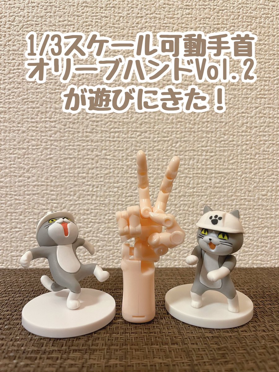 ふみふみ ふみ on X