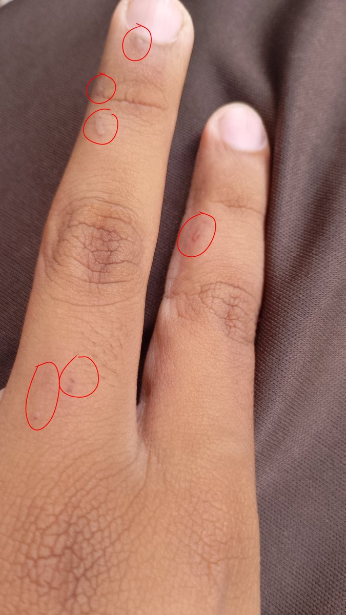 Milo Theonly || Number #1 Dumbass tweet media