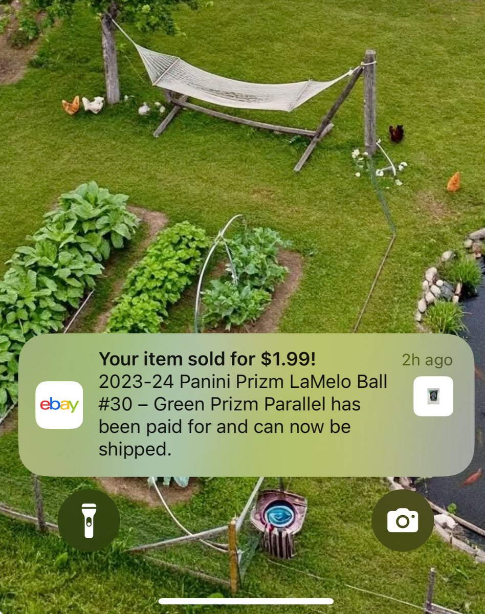 Goinham Collectibles tweet media