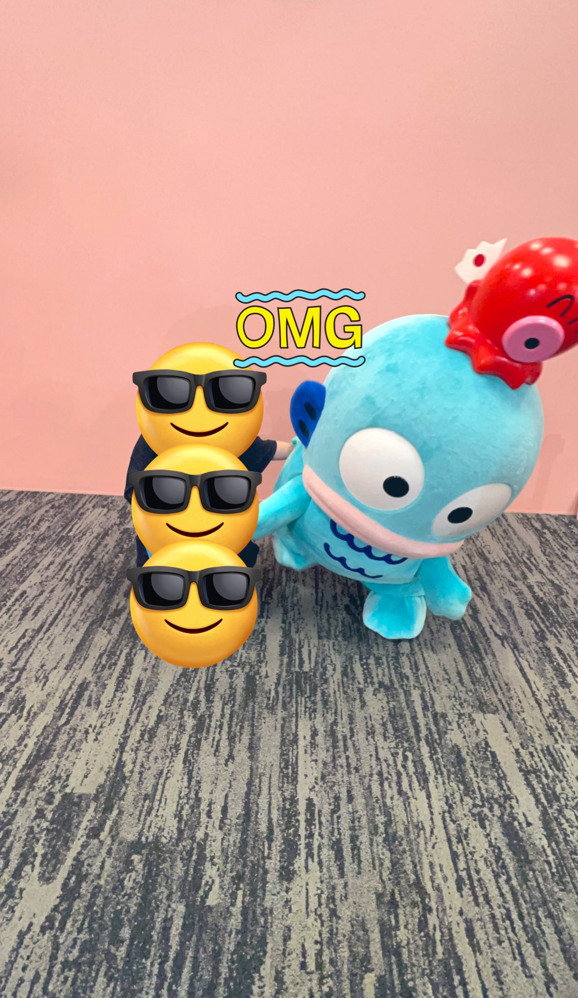 元彼から貰ったハンギョドン 元彼から貰ったハンギョドン 元彼から貰ったハンギョドン