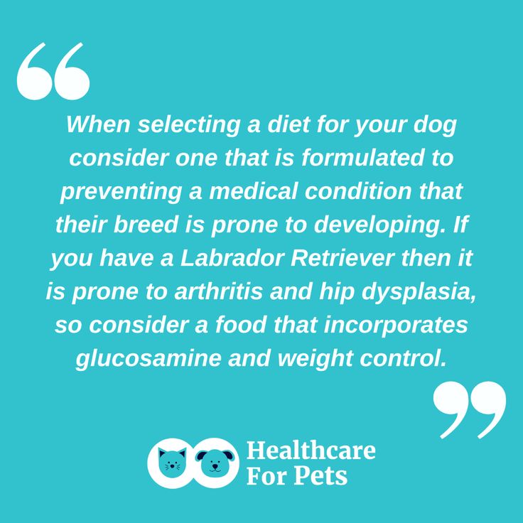#TIP: Selecting a #dogfood based on breed and condition.

For more vet-approved info on selecting #petfood: bit.ly/4dUS5h4
.
.
.
#DogNutrition #PetNutrition #DogDiet #PetDiet #DogHealth #CanineHealth #PetHealth #DogDiets #PetDiets #DogWellness #PetWellness #DogBreeds