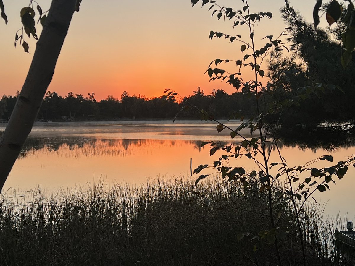 Mark Solberg tweet media