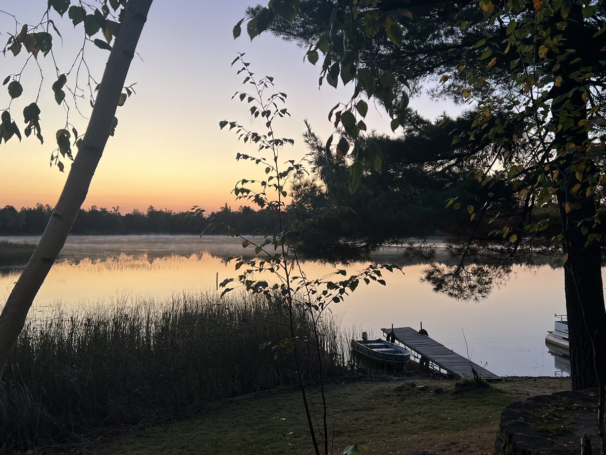 Mark Solberg tweet media