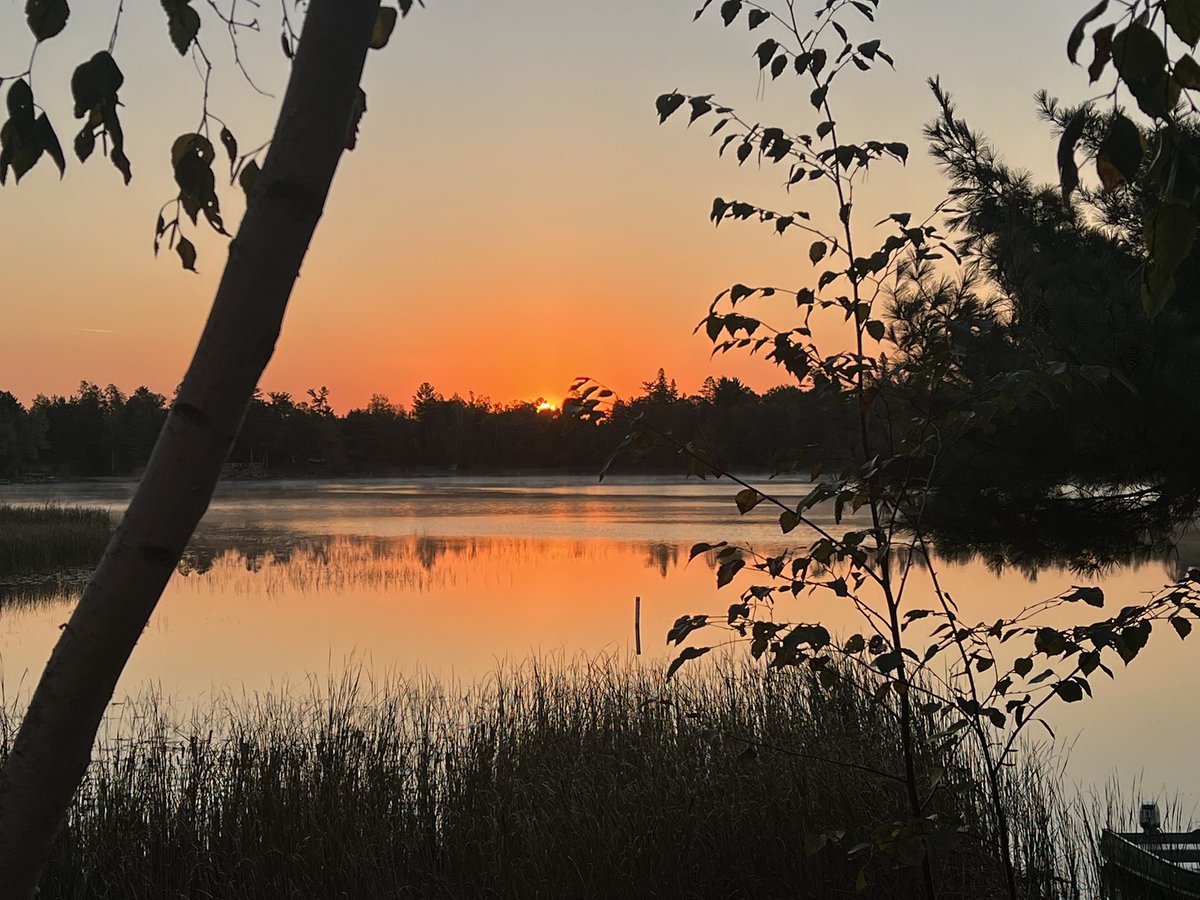 Mark Solberg tweet media