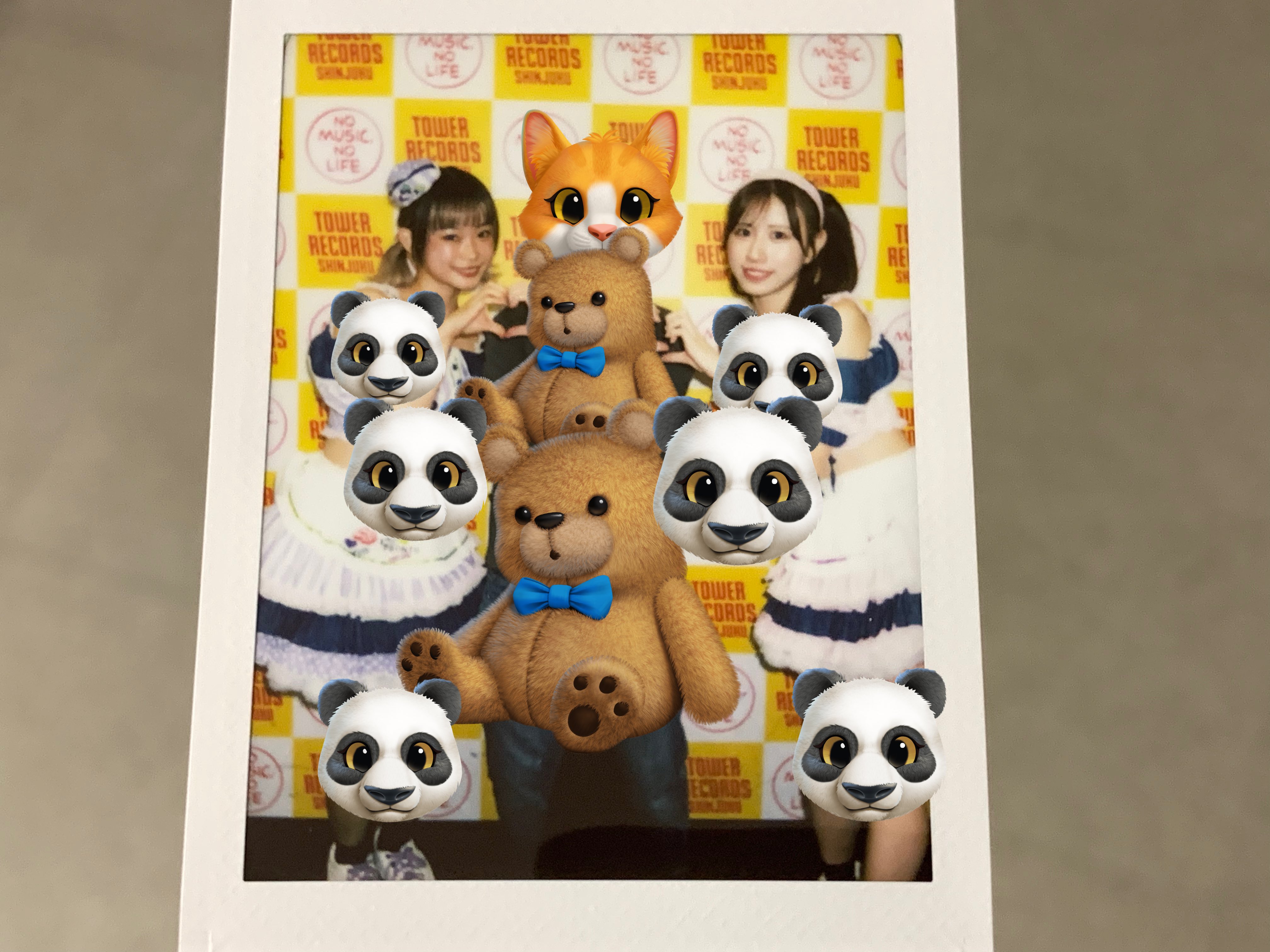 せっちゃん on X: 