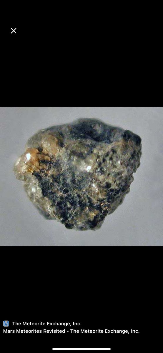 Martian meteorites are rare rock debris knocked off the surface of Mars by asteroid strikes and reached the Earth. They are distinguished by special isotopic ratios of gases that coincide with the atmosphere of Mars, and a characteristic mineral composition. 
#mars 🚀🔴