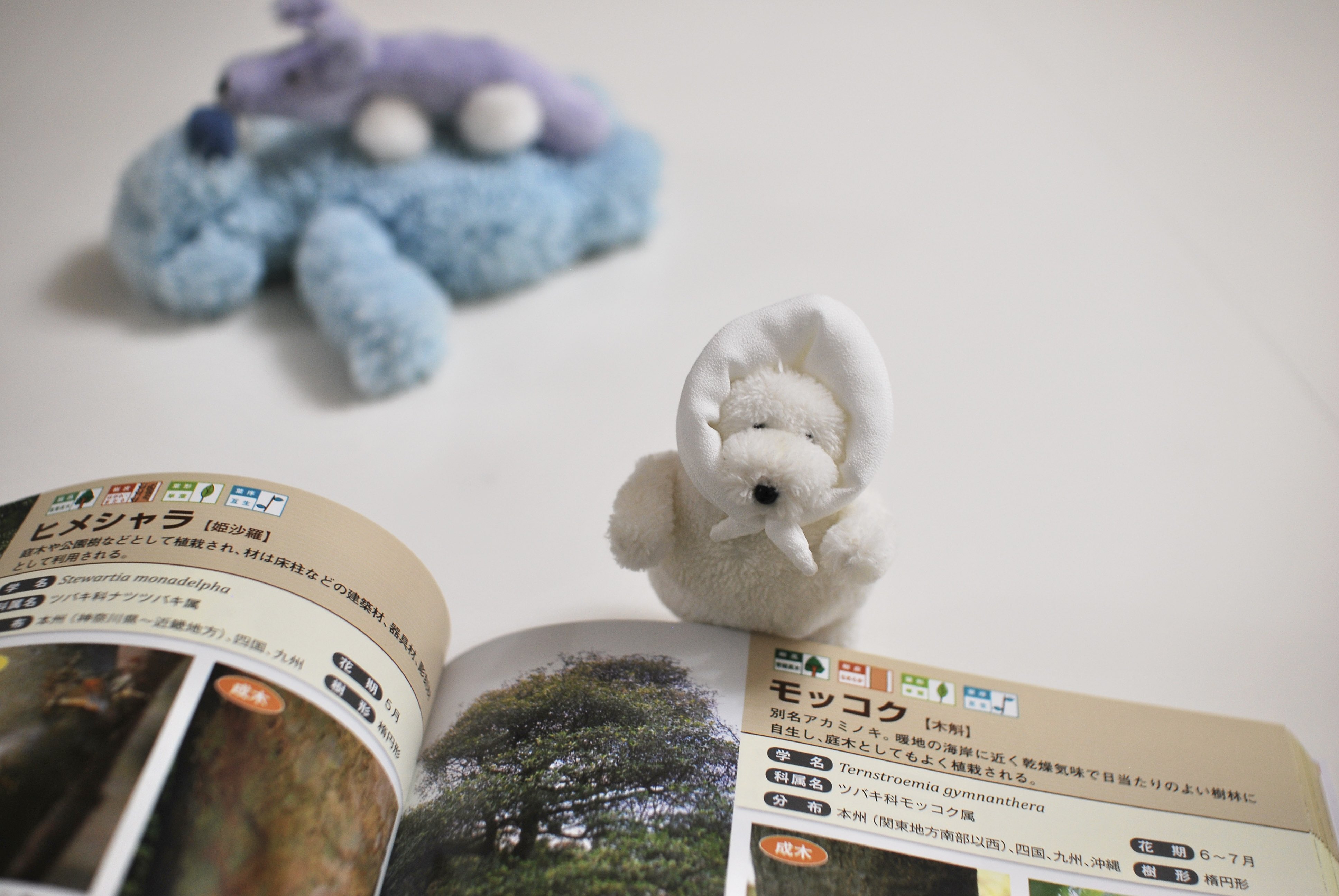 【新品未開封】空想アパートメント カネヒラ ソフビ たまもの たまものソフビのディスプレイ箱が届きました 可愛く出来た！ 底